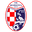 Home team logo