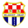 Home team logo