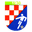 Home team logo