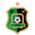 Home team logo