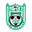 Home team logo