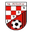Home team logo