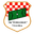 Home team logo