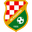 Home team logo