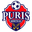 Home team logo