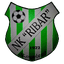 NK Ribar Kopačevo logo