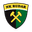 Home team logo