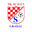Home team logo