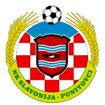 NK Slavonija Punitovci logo