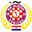 Home team logo