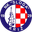 Home team logo