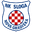 Home team logo