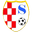 Home team logo