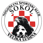 NŠK Sokol Velika Ludina logo