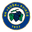 Home team logo