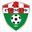 Home team logo