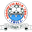 Home team logo