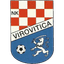 NK Virovitica logo