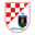 Home team logo