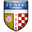 Home team logo
