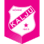 Nõmme Kalju U21 logo
