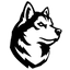 Northeastern Huskies