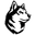 Home team logo