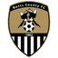 Ноттс Каунті logo