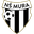 Home team logo