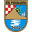 Home team logo