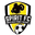 Home team logo