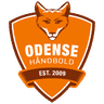 Odense Håndbold