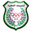 Home team logo