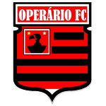 Робітник CF MT