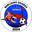 Home team logo