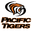 Home team logo