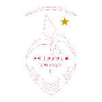 Pallamano Trieste