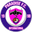 Home team logo