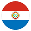 Paraguay logo