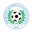 Home team logo