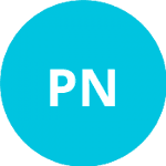 Patrick N. logo