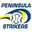 Home team logo