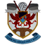 Pen-y-Bont FC logo
