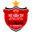 Home team logo