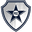 Home team logo