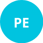 Platenikova E. logo