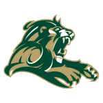 Point Loma Nazarene Sea Lions