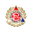 Away team logo