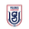 Home team logo