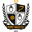 Home team logo